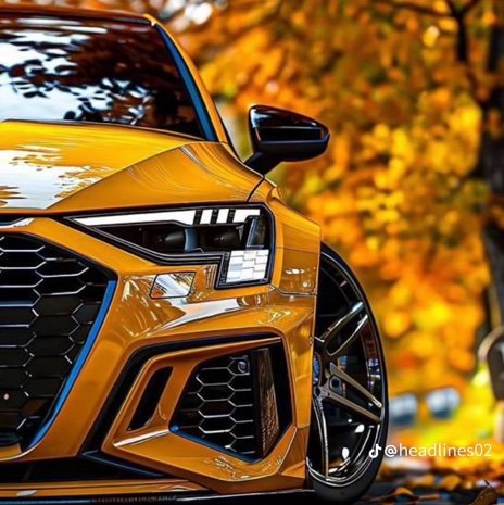 AfroBossh6's profile picture. 