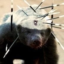 ba_hyo_kim's profile picture. 