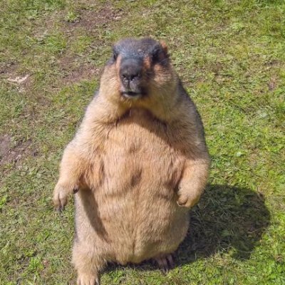 heheaaac's profile picture. 안녕하새요