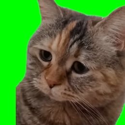 iEDQvMhjbk47406's profile picture. 