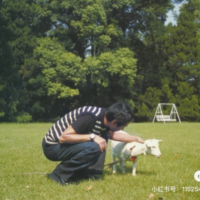 MaxMensenMax's profile picture. 