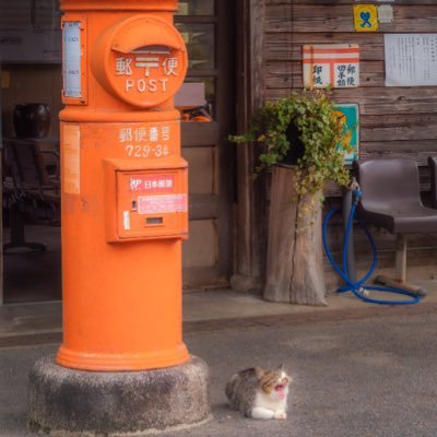 kmr7v's profile picture. 