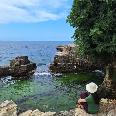 mhris18's profile picture. Kuş annesi 🐦❣️