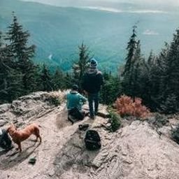 Ootomiv18677's profile picture. 