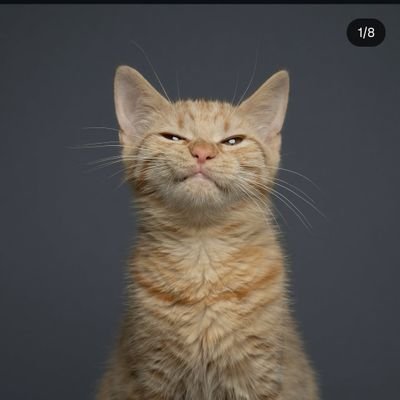 MelaniHele64891's profile picture. rumah orange (pcv)🧡🔥