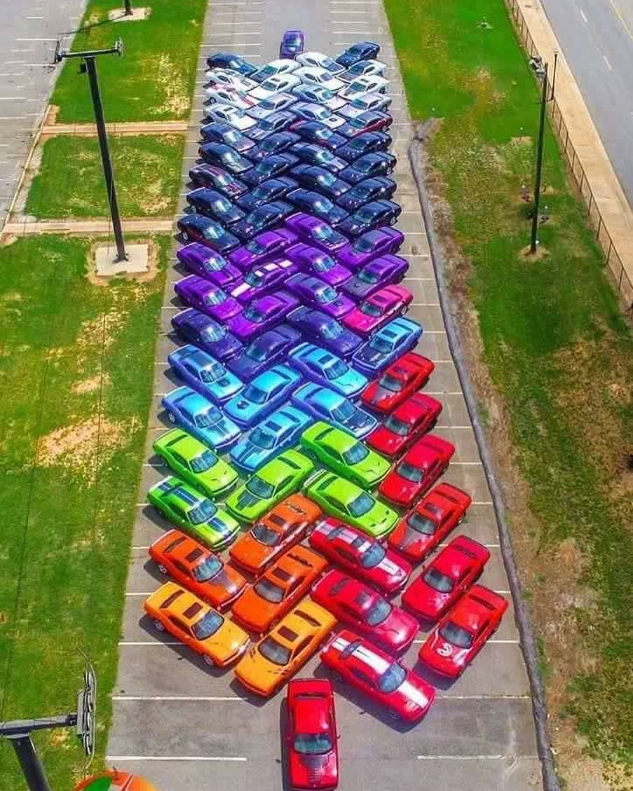 alainmilan65's profile picture. Love conquers all