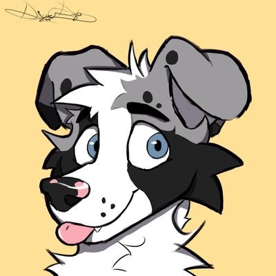 PrinceWhitecap's profile picture. He/They | Love to ski, snowboard, climb, and play airsoft! | Zoos/Pedos DNI | Taken by @raccspend ❤️ | pfp: @dingoofdingos