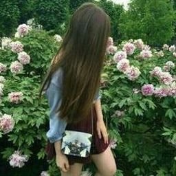 Vlerfaum5069's profile picture. 