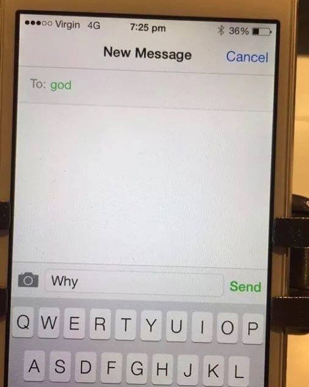 prisciladecarv8's profile picture. Practice makes perfect