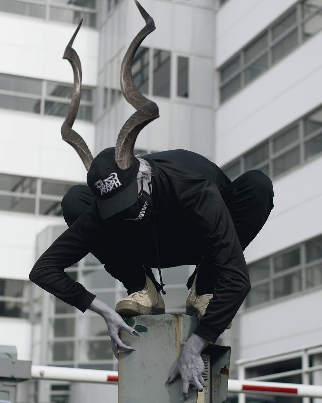 seuimovelitoral's profile picture. Behold the turtle. He makes progress only when he sticks his neck out.