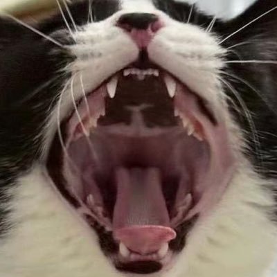 lonelyfish0222's profile picture. 