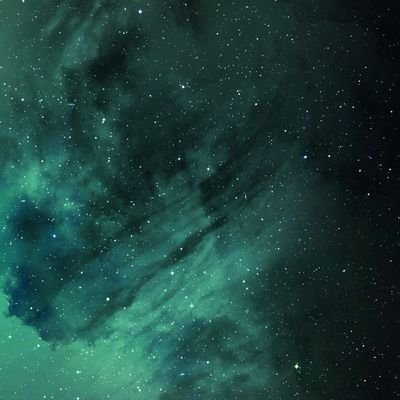 sneha__kp's profile picture. 