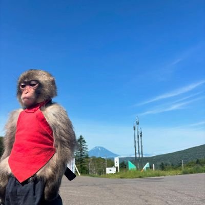 bigef01's profile picture. Ambivert 
Chelsea fan
Human 🥲