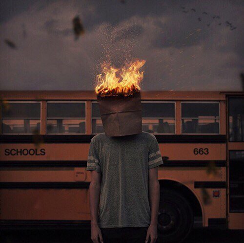 AlexRegino's profile picture. Beauty is in the eye of the beholder