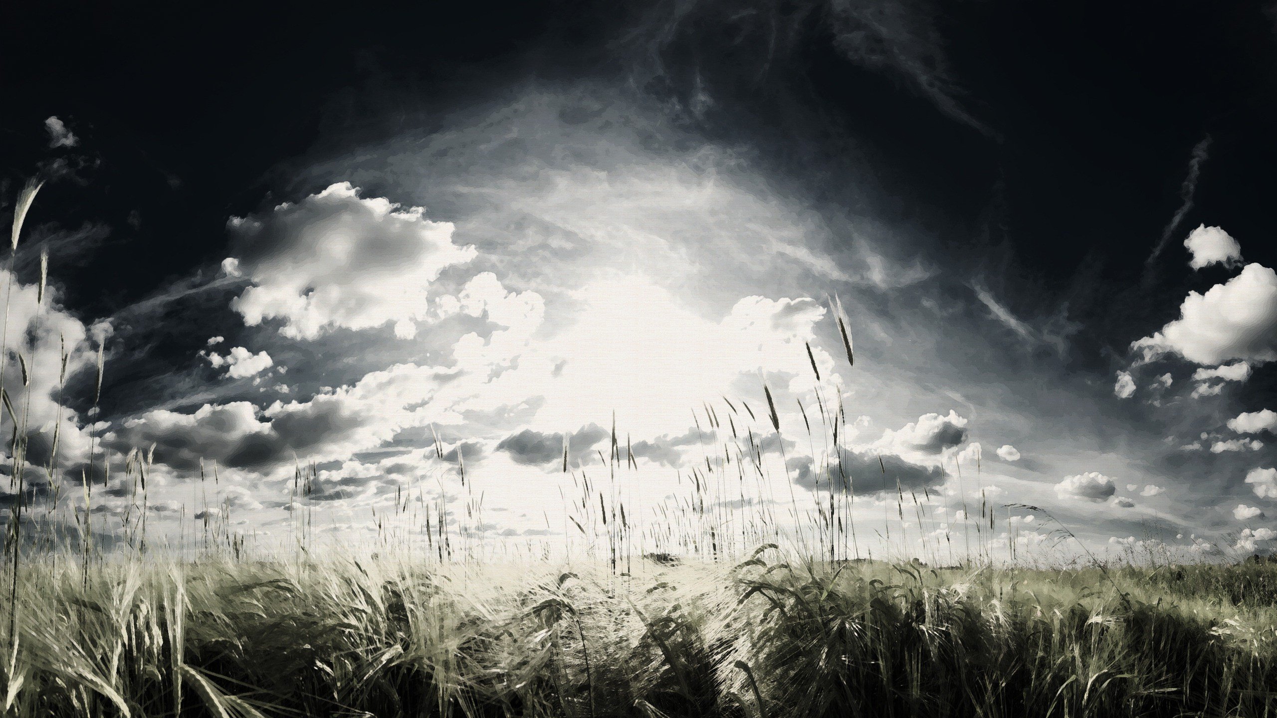 RLongo12's profile picture. Save the whales. Collect the whole set.