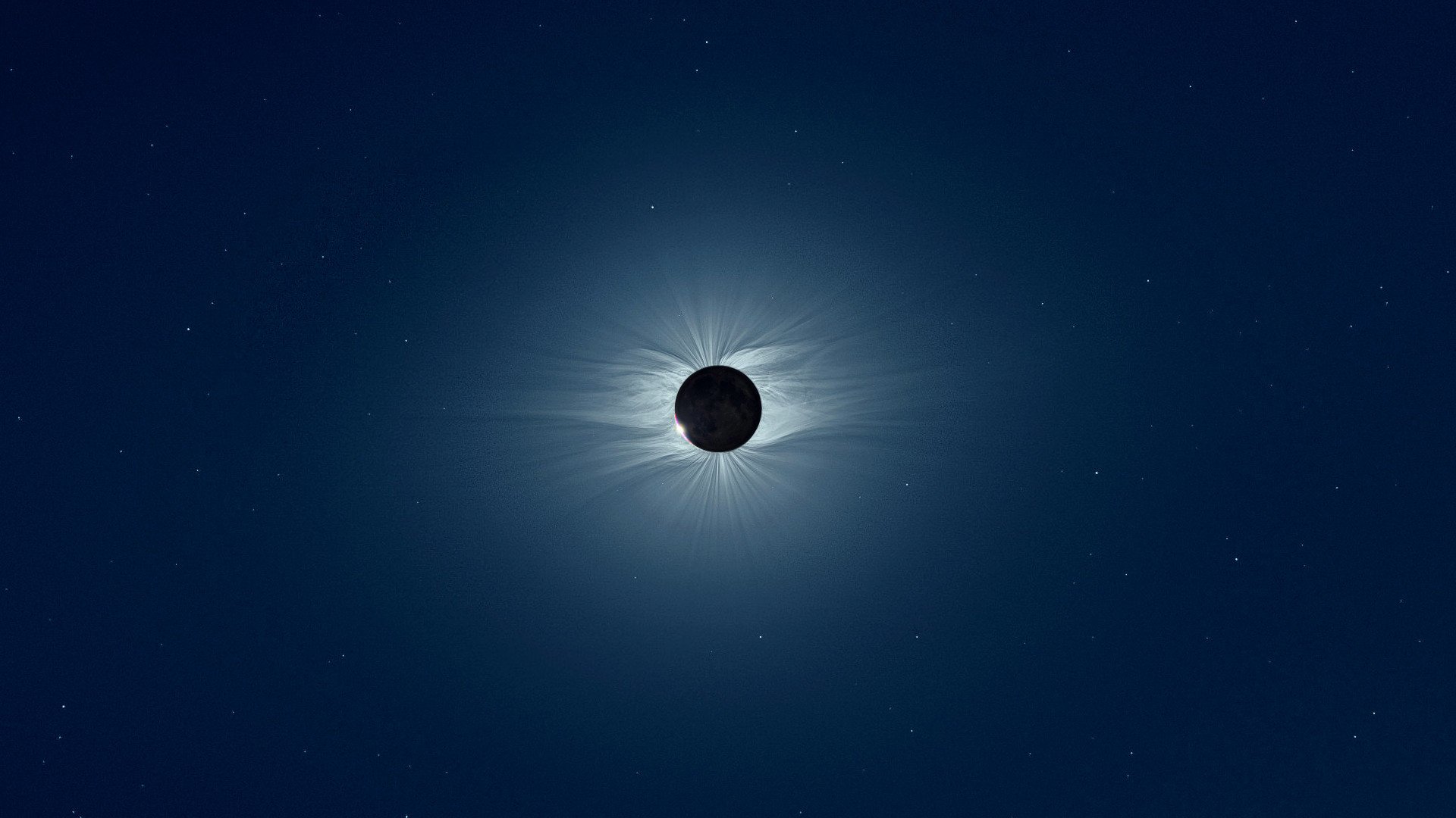 ztianwailiuxing's profile picture. Absinthe makes the tart grow fonder.