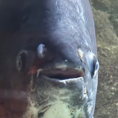 WOKDA32334's profile picture. 