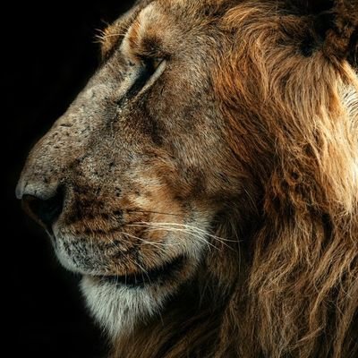 nick2011rono's profile picture. Dedicated Father. Seriously Patriotic.Truth seeker. Healthy Living Enthusiast. Opinions Are Personal.