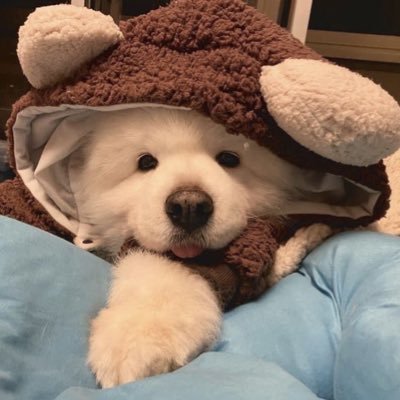 @imstuckwithyw
