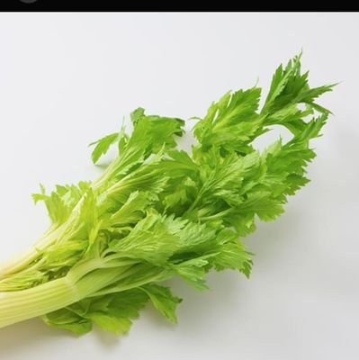 euWmOZib8Z71064's profile picture. スマホ、死にました