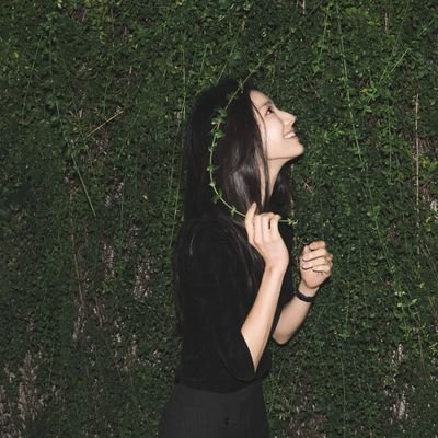 ™ des | langsung wa