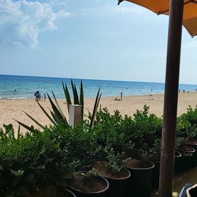 AlahliP42965's profile picture. 