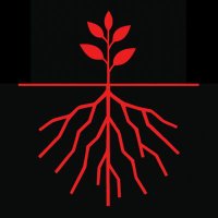 Ayrık Otu 🇵🇸 (@ayrik_otlari) 's Twitter Profile Photo