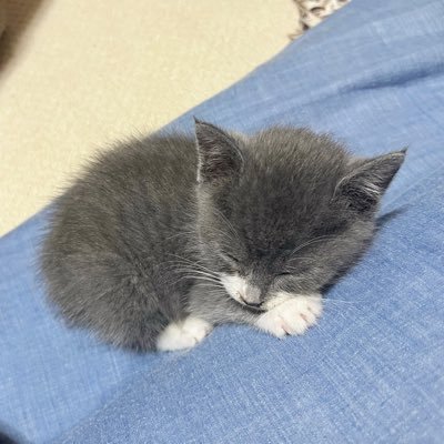 chikamushoku's profile picture. note研究中📓｜自分探し中💭｜自分は何をしてる人なのか？自分でも分かりません。