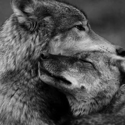 mamafiosadeapel's profile picture. estoy conociendo a alguien que esta dentro de mi! me prometo no olvidarme... de reír y de pasarlo bien!