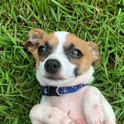 murderflexx's profile picture. 