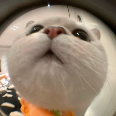 BK_AXKO's profile picture. 