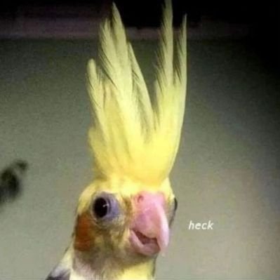 tiredheroine's profile picture. 