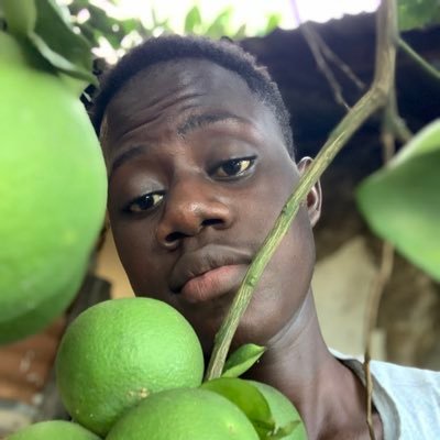 men99550's profile picture. 