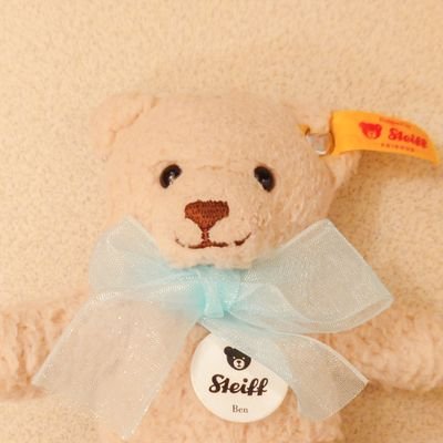 もりぞう。さんのプロフィール画像