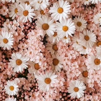 __cptb's profile picture. 