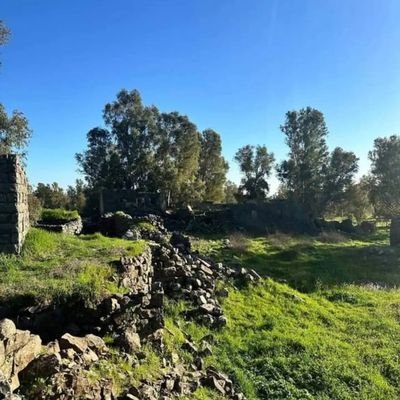 SedraAz67244's profile picture. ٢٠٢٤/١٢/٨

اكتبُ لأعيشْ 

من ارض الجـولان