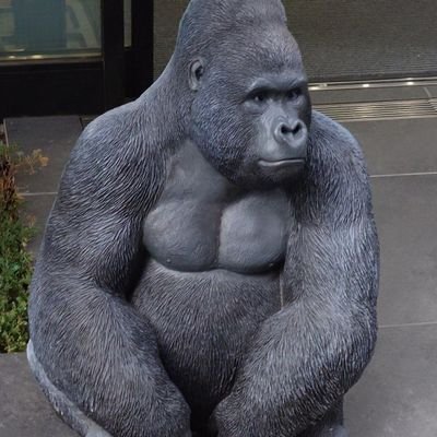 カロっちさんのプロフィール画像