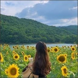 garumise1979's profile picture. 