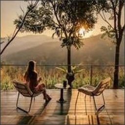 yukinnu1986's profile picture. 