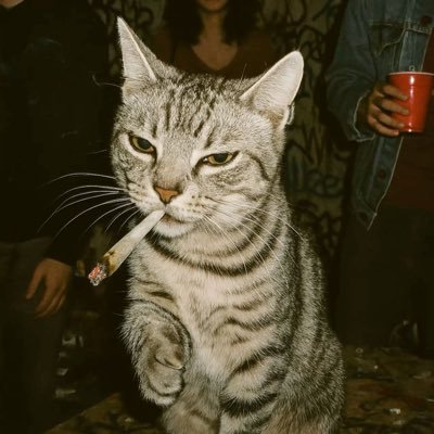 14__d's profile picture. 