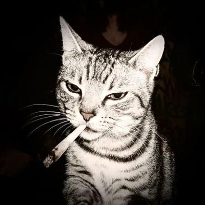 Sarthakz379's profile picture. 