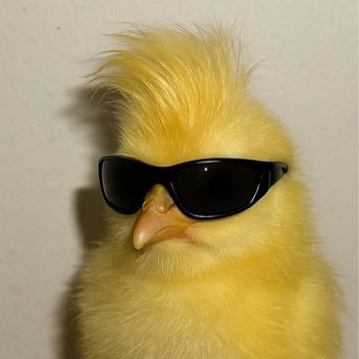 chipichapa25850's profile picture. 