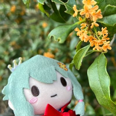 結友さんのプロフィール画像