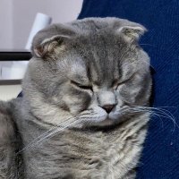 büş (@busrainbow) Twitter profile photo