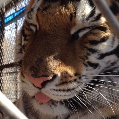 jnsn25519's profile picture. 