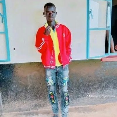 SilvesterO47840's profile picture. 