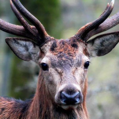 CarolineCh94345's profile picture. 