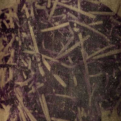 gxZfujiken's profile picture. #フジプリン