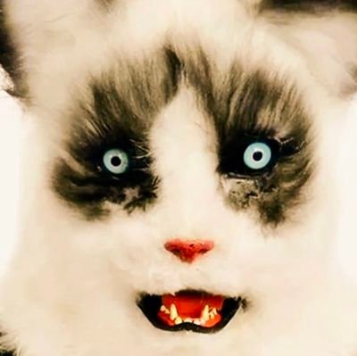 大津ススヌさんのプロフィール画像