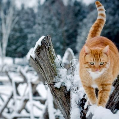 es03852's profile picture. 